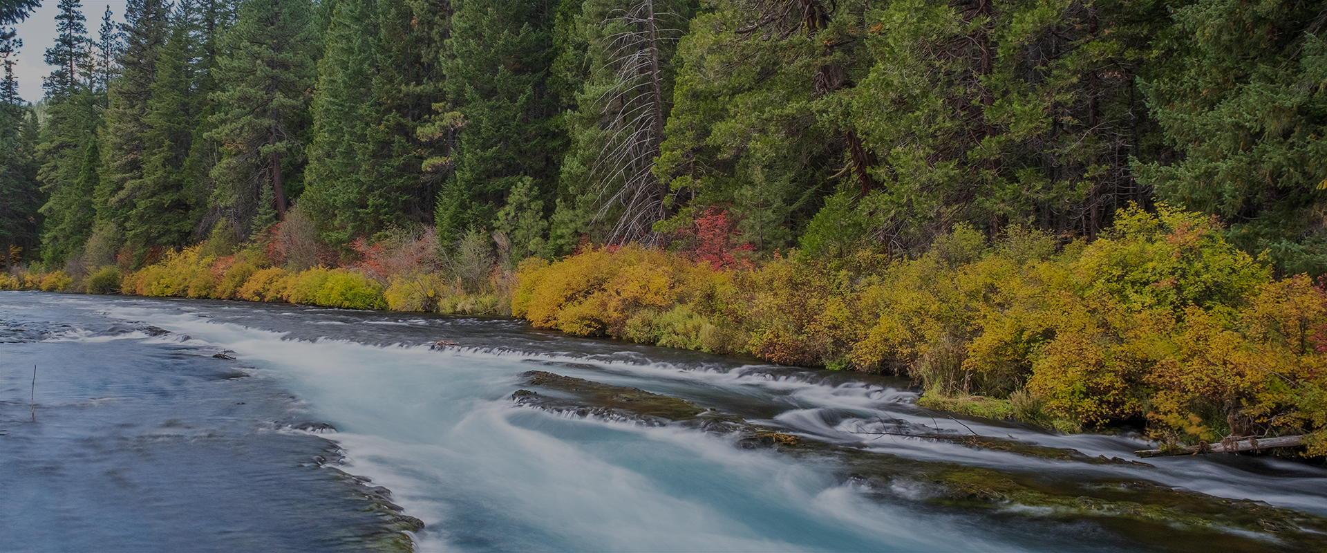 slider image 1621243260e1af0c20-0